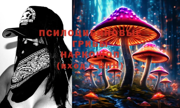 бошки Алзамай