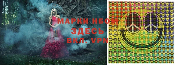 мет Алексин