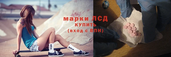 прущие грибы Наволоки