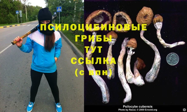 герыч Абаза