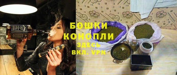 прущие грибы Наволоки
