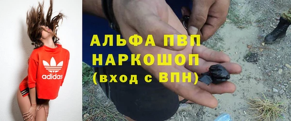 прущие грибы Наволоки