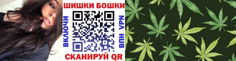 Конопля гибрид  Нерчинск 